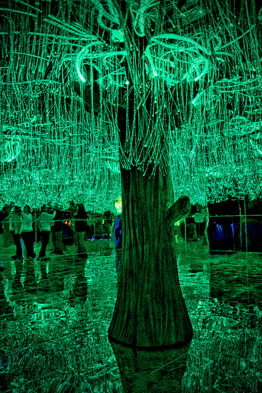 Wild Lanterns at Woodland Park Zoo is a mesmerizing, illuminated